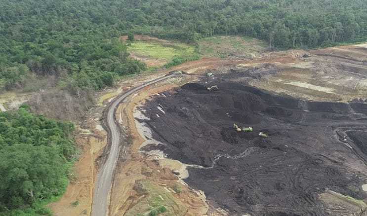 Hutan Bukan Komoditas! Ini Bahaya Alih Fungsi untuk Kepentingan Ekonomi Semata